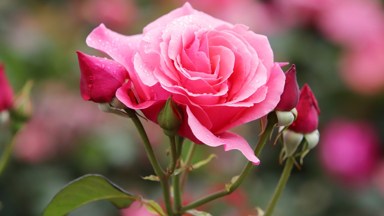 test 2